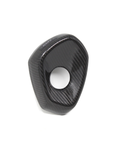 CMT CARBON EXHAUST GUARD