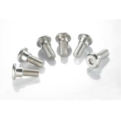 TRW REMSCHIJF BOUTEN SET PER 6ST